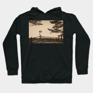 Directions Hoodie